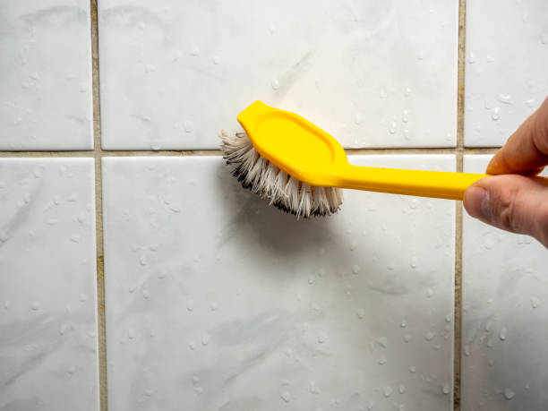 Best Certified Mold Removal  in Highland Heights, KY