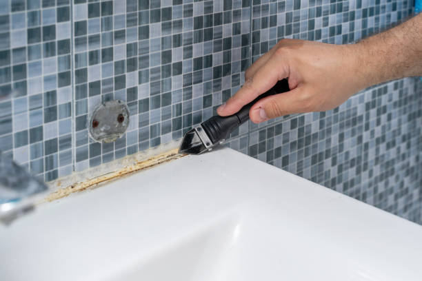 Best Mold Remediation  in Highland Heights, KY
